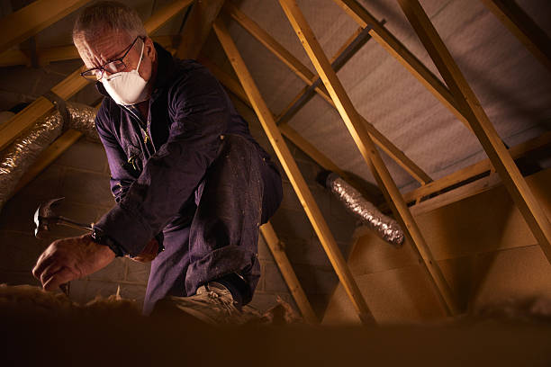 Best Residential Insulation in Cross Plains, TN